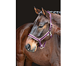 Headcollar Anatomical Relaxation