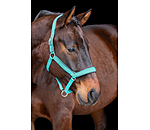 Headcollar Anatomical Relaxation