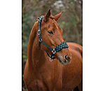 Headcollar Softy