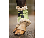 Teddy Fleece Dressage Boots Essential, front legs