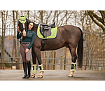 Teddy Fleece Dressage Boots Essential, hind legs