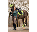 Teddy Fleece Dressage Boots Essential, hind legs