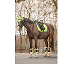 Teddy Fleece Dressage Boots Essential, hind legs