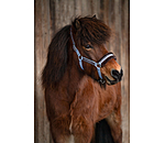 Teddy Fleece Headcollar Norwegian Spirit