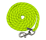 Lead Rope Shiny with Snap Hook