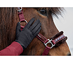 Winter Riding Gloves