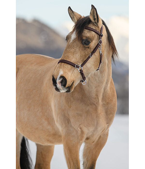 Waterproof Trekking Bridle Eifel