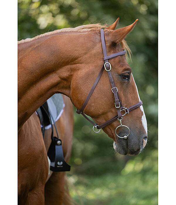 Waterproof Trekking Bridle Eifel