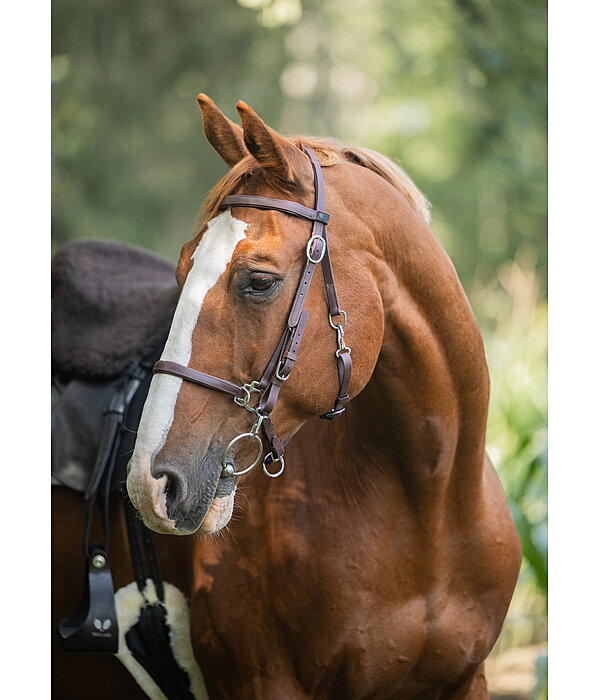Waterproof Trekking Bridle Eifel