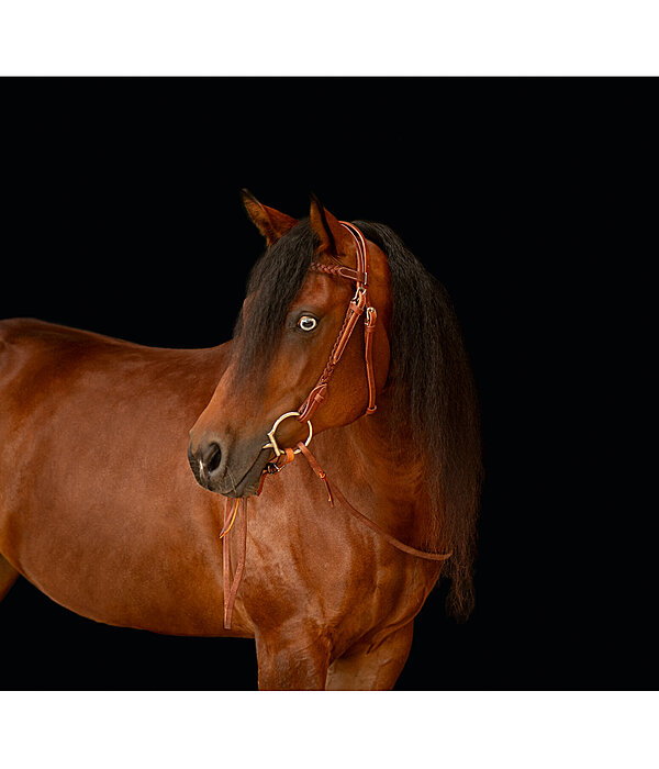 Western Headstall Wapi