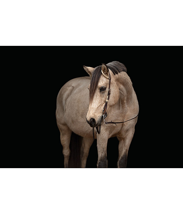 Single Ear Headstall Rawhide