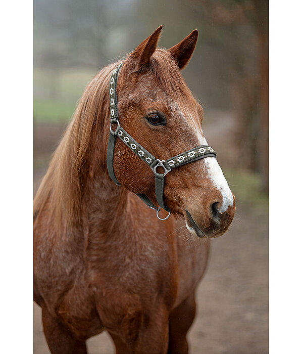 Headcollar Ikat