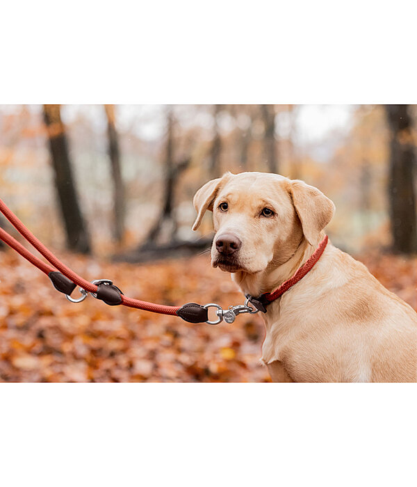 Dog Lead Nature Rope