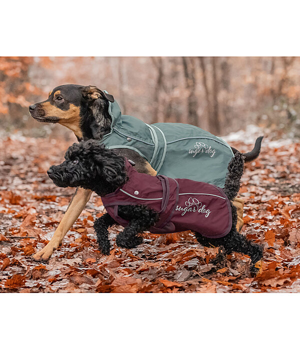 Dog Raincoat Ally 2 in 1