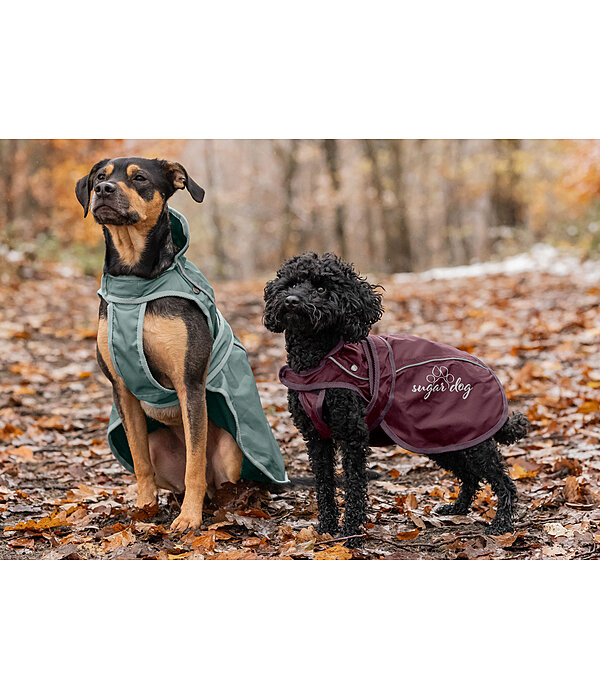 Dog Raincoat Ally 2 in 1