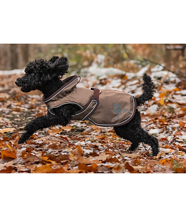 Dog Raincoat Eldoro II with Fleece Undercoat