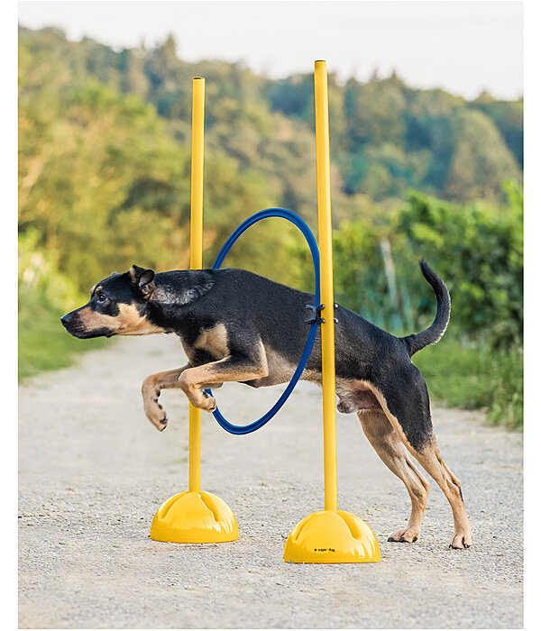 Agility Hoop