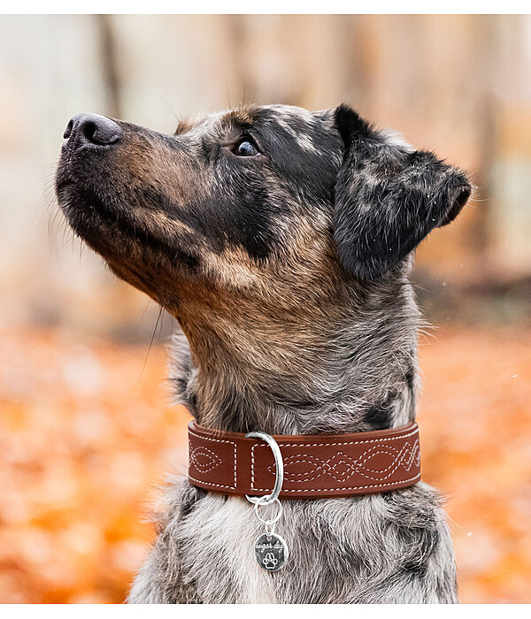 Leather Dog Collar Livorno