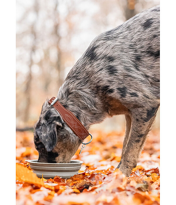 Leather Dog Collar Livorno