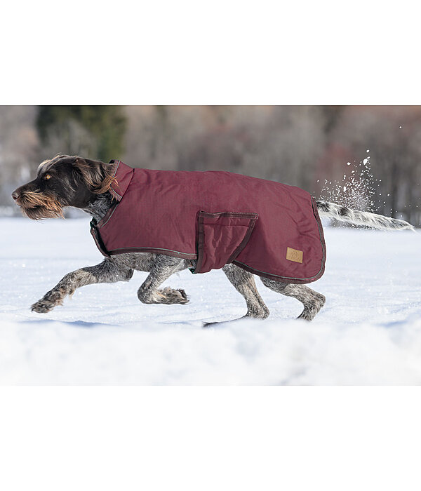 Winter Dog Coat Beaver Creek, 400g