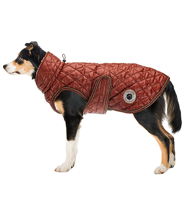 Dog Coat Archie with Teddy Fleece Lining, 160 g