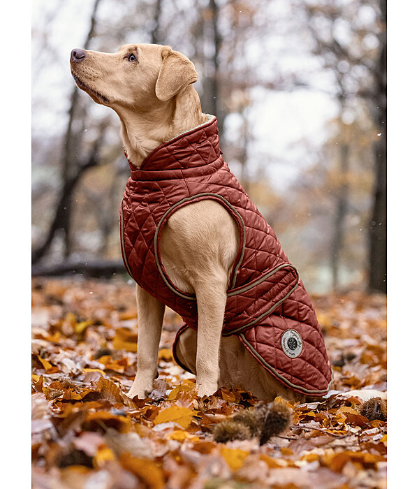 Dog Coat Archie with Teddy Fleece Lining, 160 g