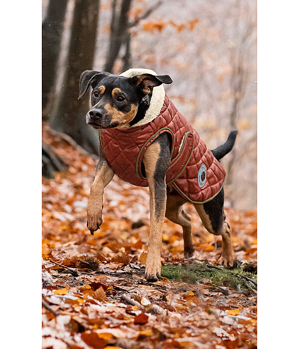 Dog Coat Archie with Teddy Fleece Lining, 160 g