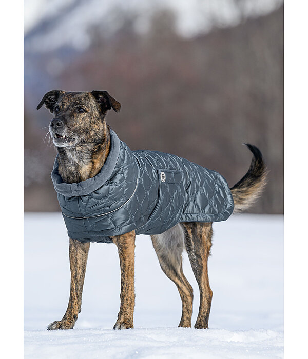 Lightweight Quilted Dog Jacket Cliff with Fleece Lining, 200g