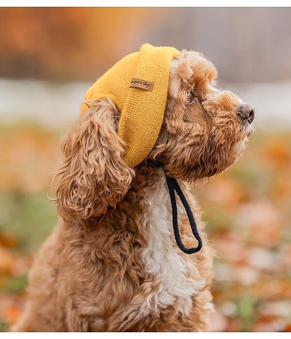 Dog Beanie Evin