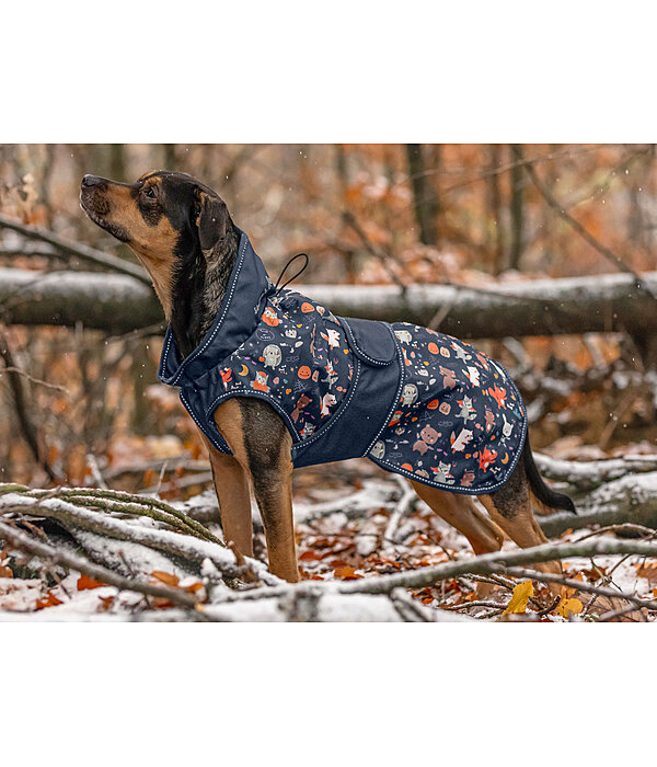 Rain Dog Coat Pumpkin Spice, 0g