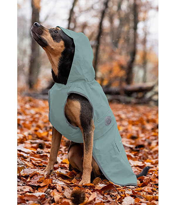 Rain Dog Coat Waterton Lakes, 0g