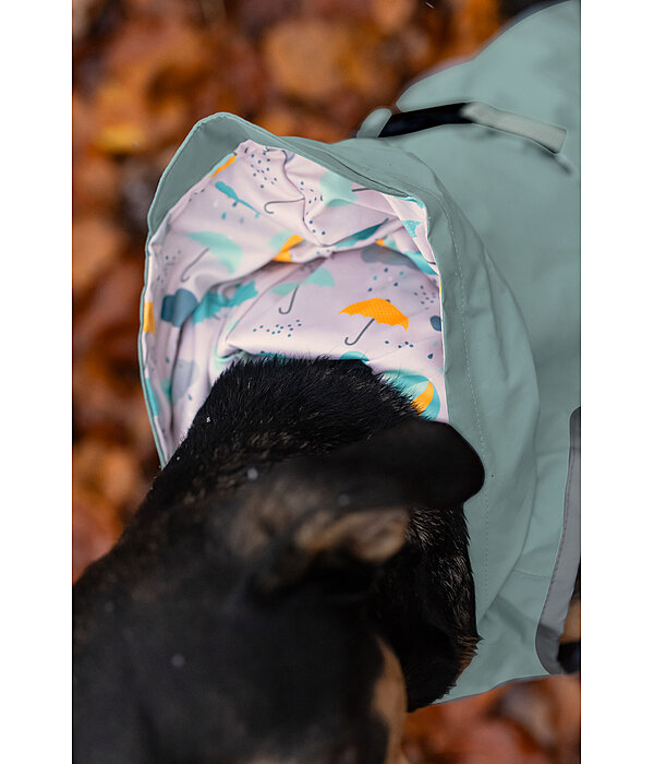 Rain Dog Coat Waterton Lakes, 0g