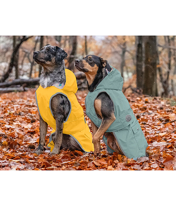 Rain Dog Coat Waterton Lakes, 0g