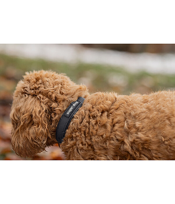 Sugar Dog Waterproof Dog Collar Mable