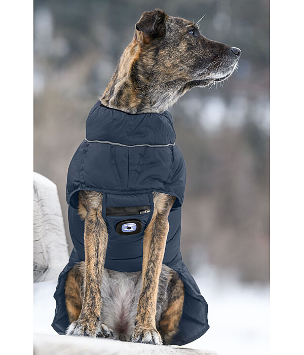 LED Dog Quilted Jacket Arlo, 300g