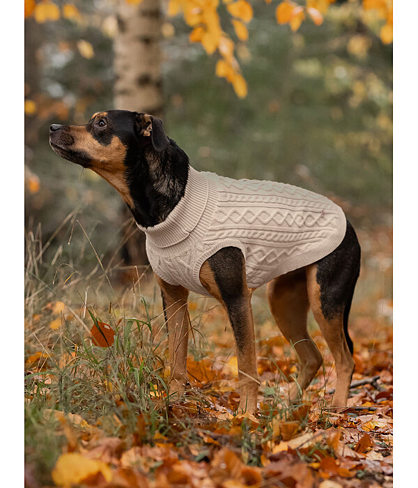 Dog Turtleneck Jumper Maisie