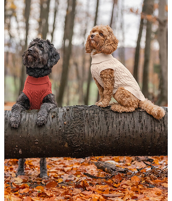 Dog Turtleneck Jumper Maisie