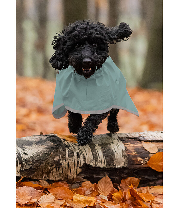 Dog Rain Coat Thousand Islands, 0g