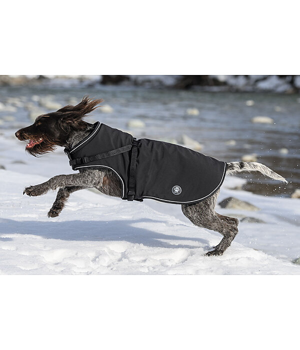 Soft Shell Dog Coat Cruz with integrated harness, 160g