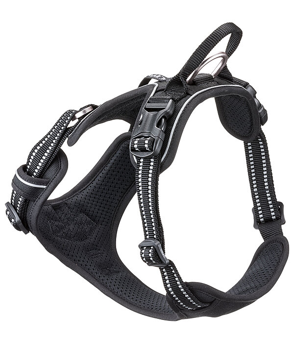 Dog Harness Expedition