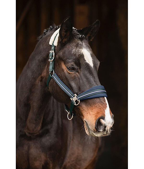 Headcollar Swiss Design