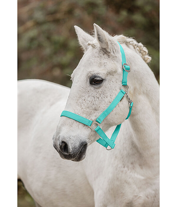 Headcollar Super Price