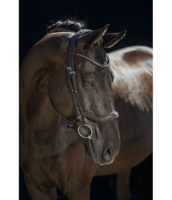 Cavesson Bridle Comfort Space