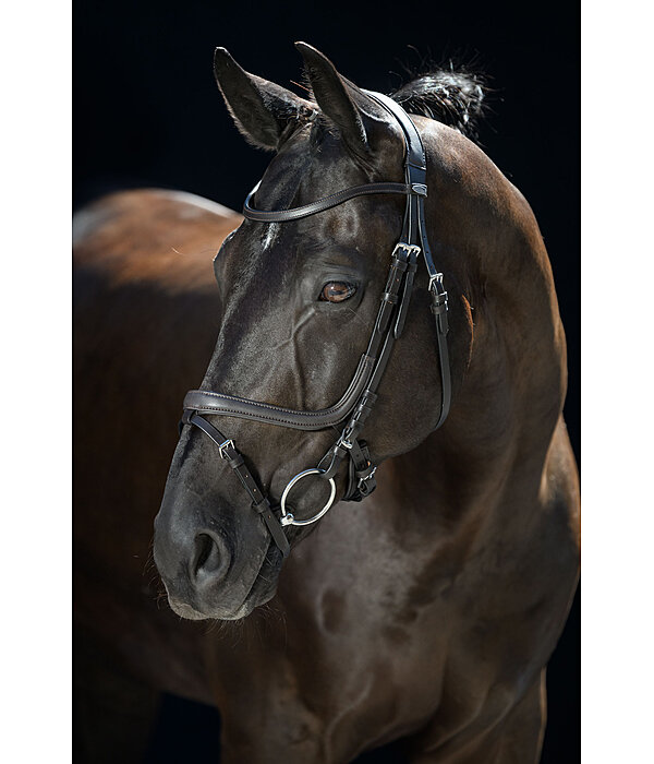 Flash Bridle Anatomical Classic