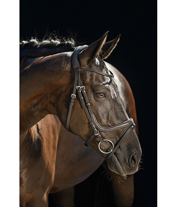 Flash Bridle Anatomical Classic