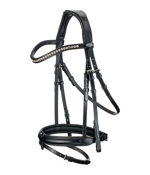 Flash Bridle Miami