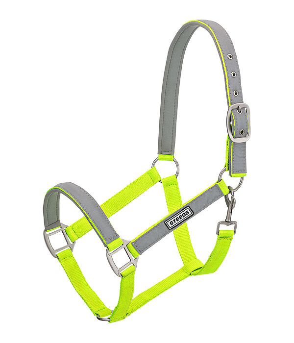 Hi-Vis Headcollar Shiny