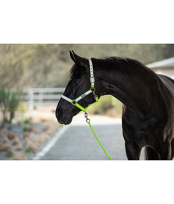 Hi-Vis Headcollar Shiny