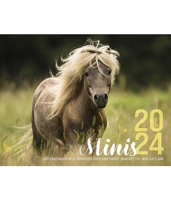 Miniature Shetland Ponies Calendar 2024 Kramer Equestrian