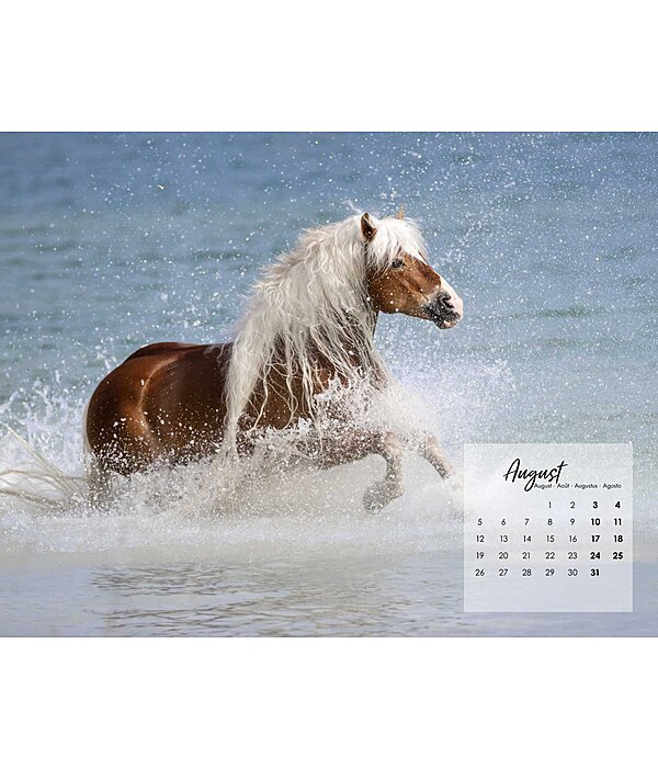 Haflinger Calendar 2025